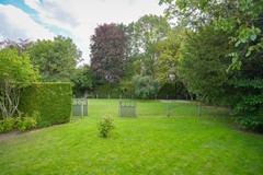 Foto 68.jpg